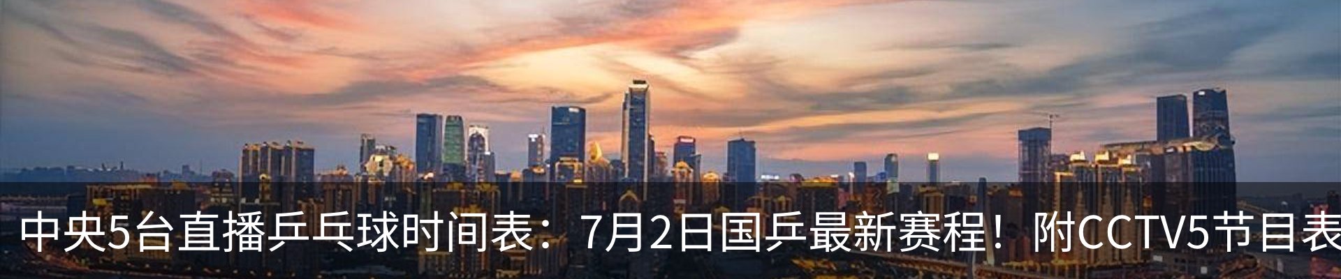 新闻动态