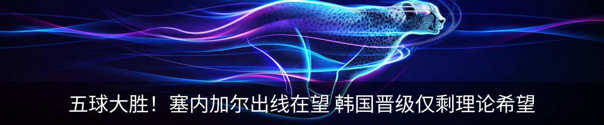 新闻动态