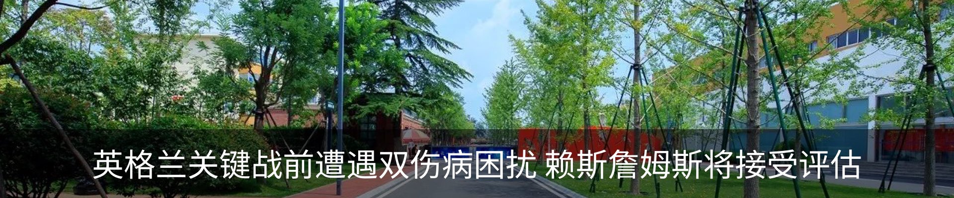 新闻动态