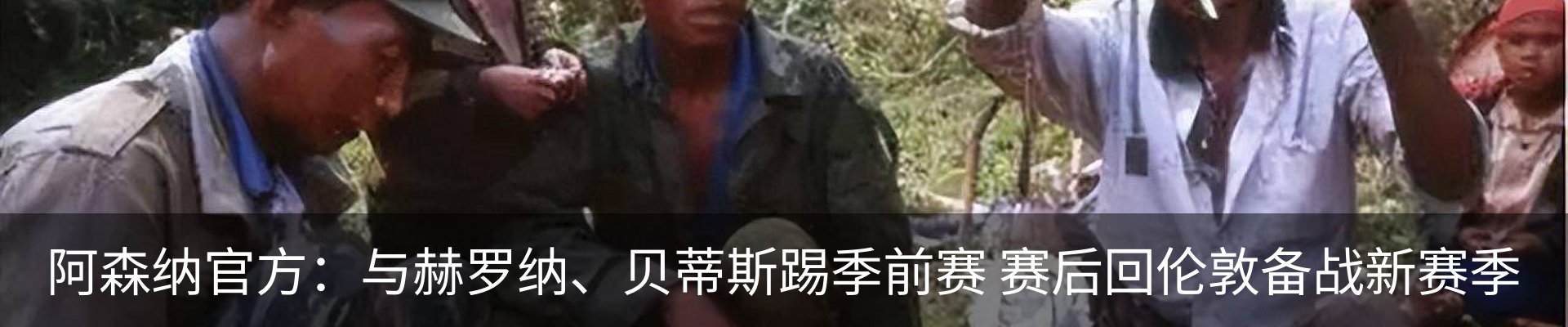 新闻动态
