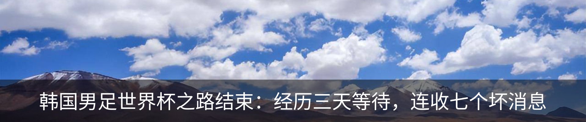 新闻动态